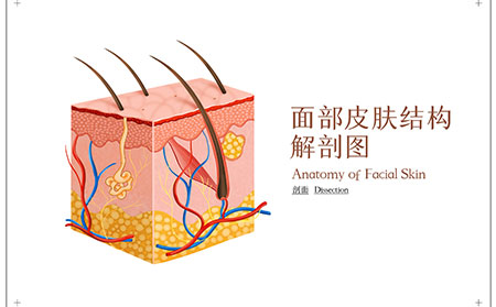 潍坊市中医看银屑病那个医院专业